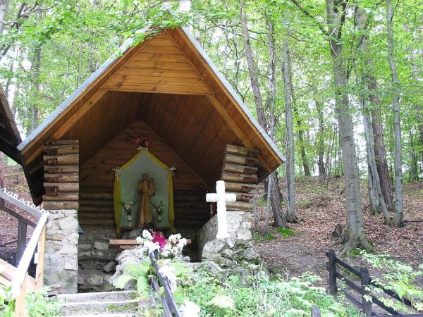 zdjecie Nowiny Horynieckie