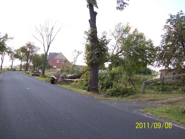 Bródzkoskie pobojowisko.