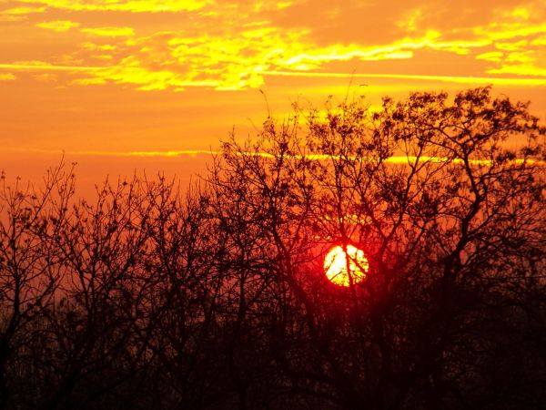 Zachody słońca nad Czeladzią.