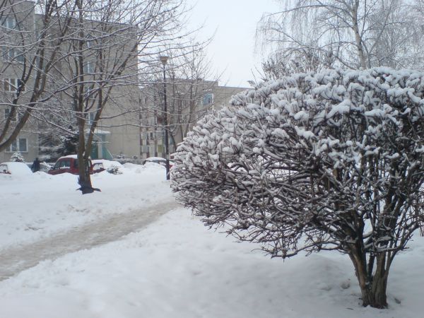 Oś.Słoneczne