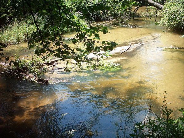 "Nad Tanwią" – rezerwat leśny, przy wsi Rebizanty. Atrakcją są 24 progi skalne na rzece Tanwi, zwane potocznie "szumami" lub "szypotami". Powstały one na skutek