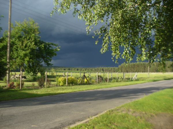 KRZYDŁOWICZKI;  PRZED BURZĄ