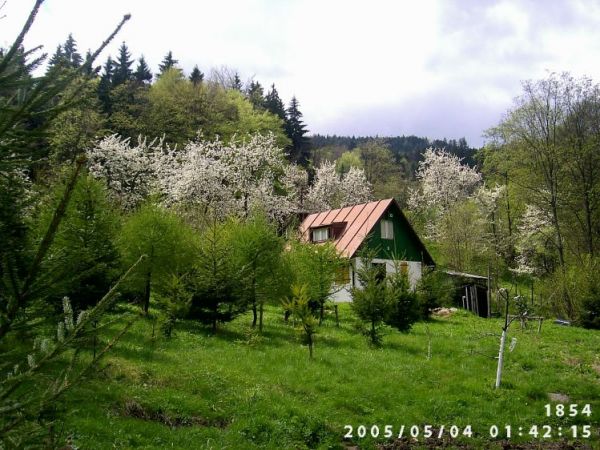 Paszków latem 2005r