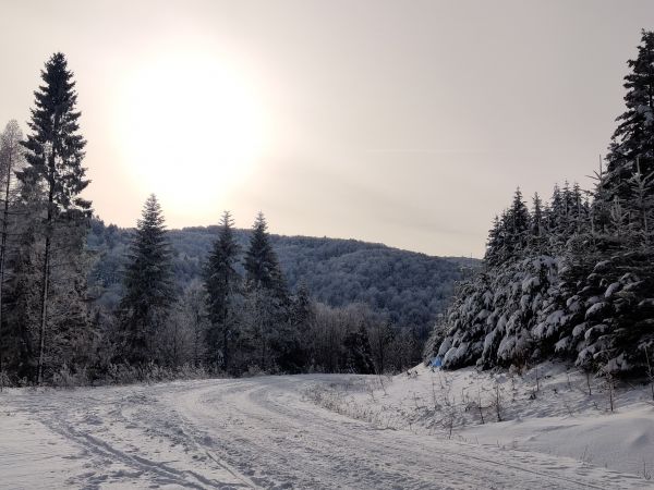 Sylwester i Nowy Rok w Cisnej