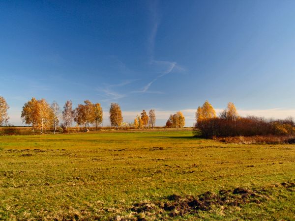 zdjecie Tyniewicze Duże