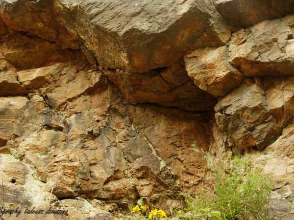 Rezerwat "Skałka Rogoźnicka"