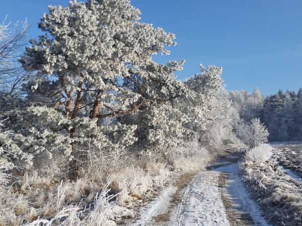 Piękna zima w Grochowie!