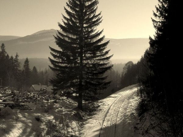 Biała Dolina. Więcej moich zdjęć na http://picasaweb.google.com/janek.fedorowicz