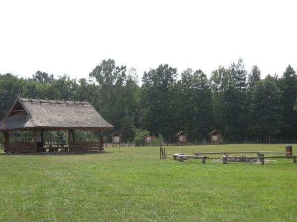 zdjecie Wierzchosławice