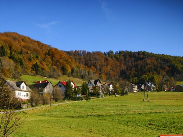 Zubrzyk-domy pod lasem