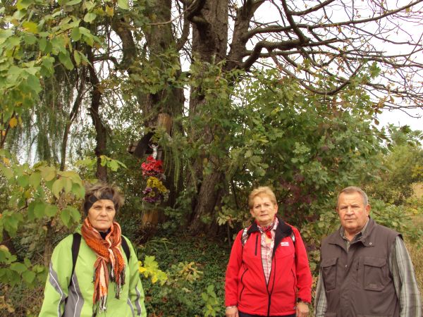 na zdjęciu: na drodze do Dębnej, w sąsiedztwie opuszczonego domu Królikowskich, stoi dębowy krzyż.