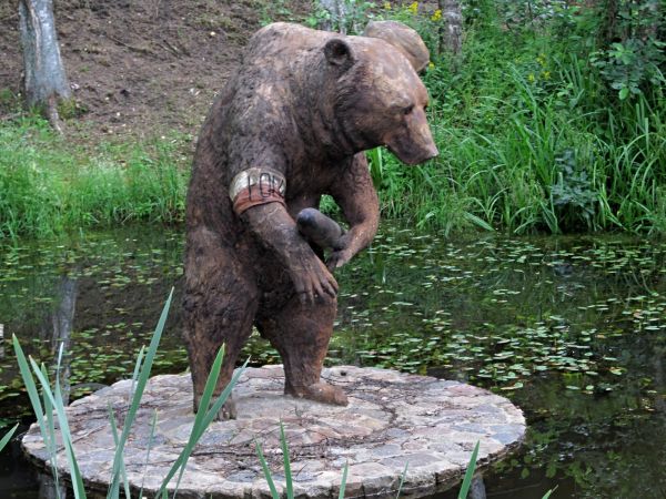 Niedźwiedź z pociskiem