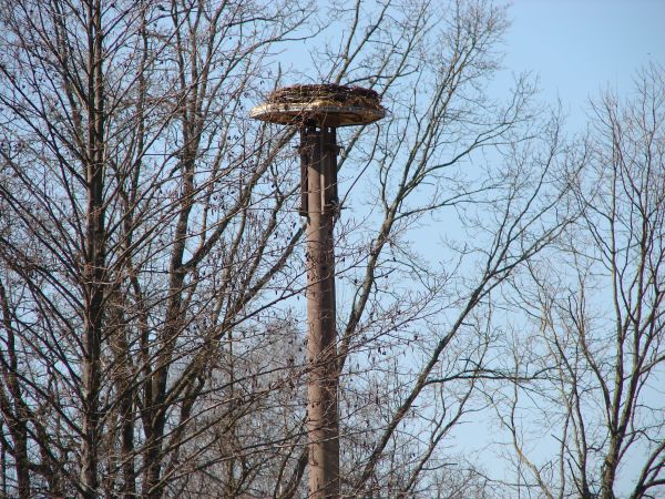 Czeka na gospodarza.
