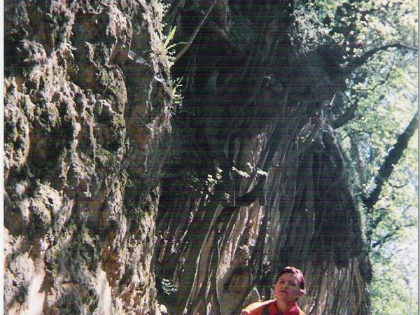 w Wąwozie Królowej Jadwigi, dalej będzie Wąwóz Piszczele - dużo tam poległo, tych co miasto zdobyć chcieli - i było tam cmentarzysko ciałopalne, kości się ostał