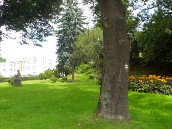 kirkut tu był - żydowski cmentarz, już podczas II - giej wojny światowej został zdewastowany przez okupanta, zaś pomniki i macewy - potłuczone służyły jako podk