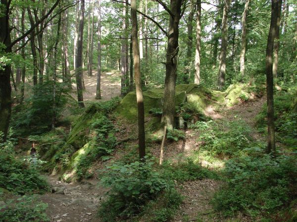 zdjecie Ciężkowice