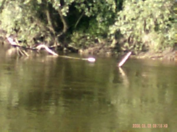 zdjecie Stare Kaliszany