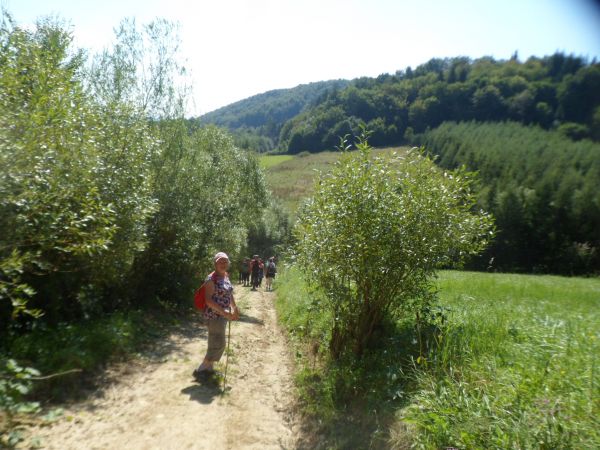 tu etap na : "Szlaku starej osady za lasem" podczas "wyprawy odkrywców" - tu już zejście do Muzeum Przyrodniczo - Łowieckiego "Knieja". W dole - n/z w zakrzacze