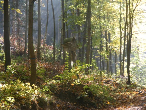 Kapliczka przy drodze na Górę Bardzką
