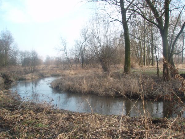 zdjecie Chrząchówek