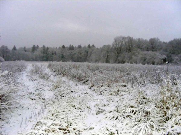 zdjecie Będzieszewo