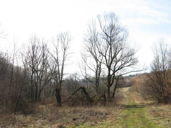 centralne miejsce wsi - majdan, tam kuźnia była - konie i woły podkuwano, wrażenie jest niezwykłe - brakuje tylko zapachu dymu, ryczenia krów, wołów, rżenia i p