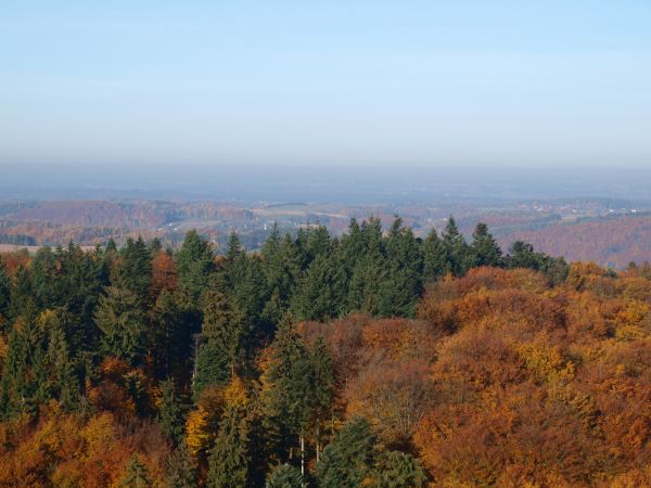 WIDOK Z WIEŻY - 20.10.2012r.