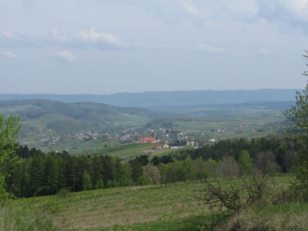 w lewo opada dolina Osławy, na wprost zalesione  wzgórze Mokre - 376m npm a w dole  wieś Czaszyn /jest galeria - zapraszam/.