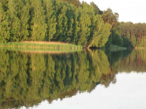 zdjecie Samociążek