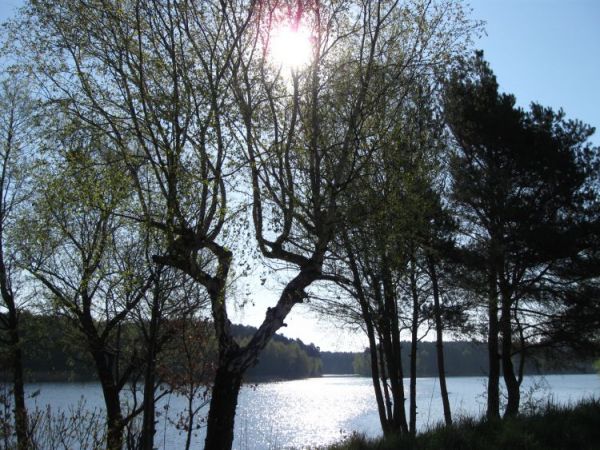 Słońce się przebija