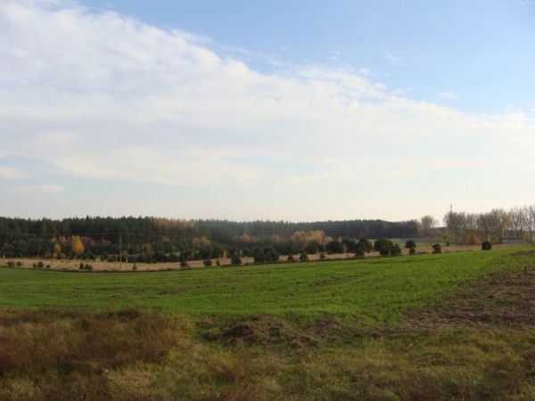 Serdeczne swiata strony