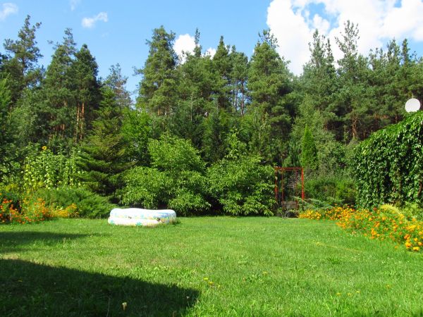 Ogród w centrum miasta