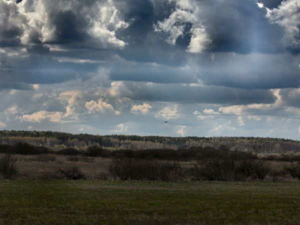 zdjecie Tyniewicze Duże