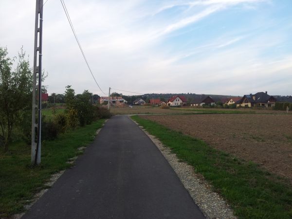 Ulica Modrzewiowa w kierunku ul. Narodowej