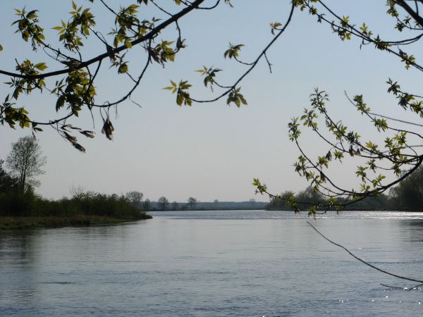 zdjecie Małkinia Górna