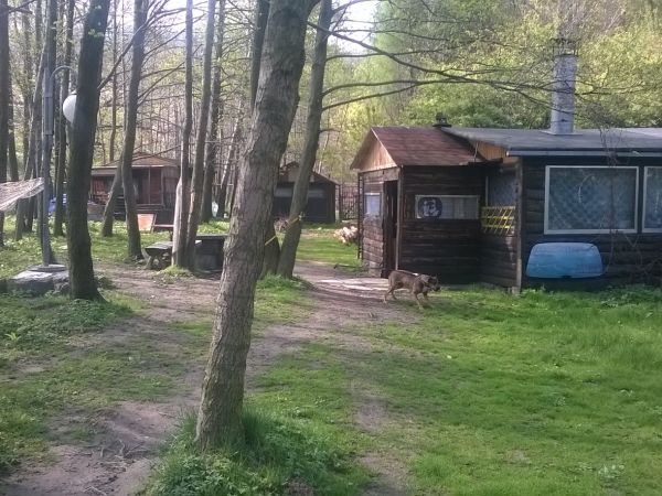 Jodłownik, Baza Paralotniowa "Bielik"