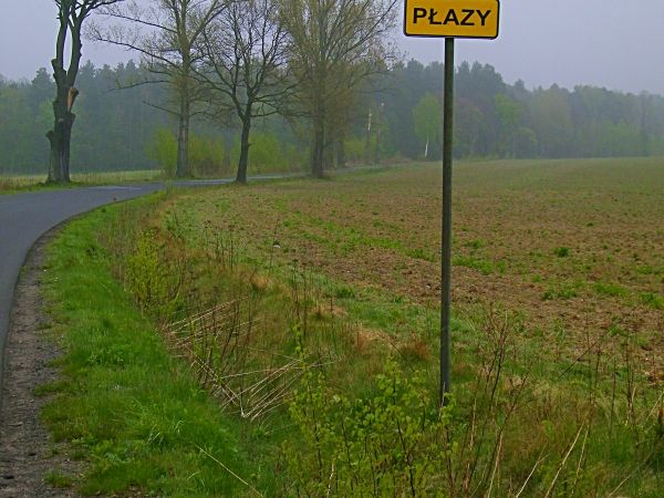 duże są nie widzialne to co dopiero te mniejsze