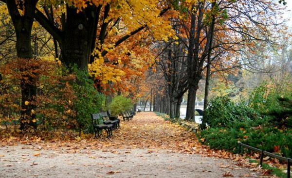 Łazienki Królewskie