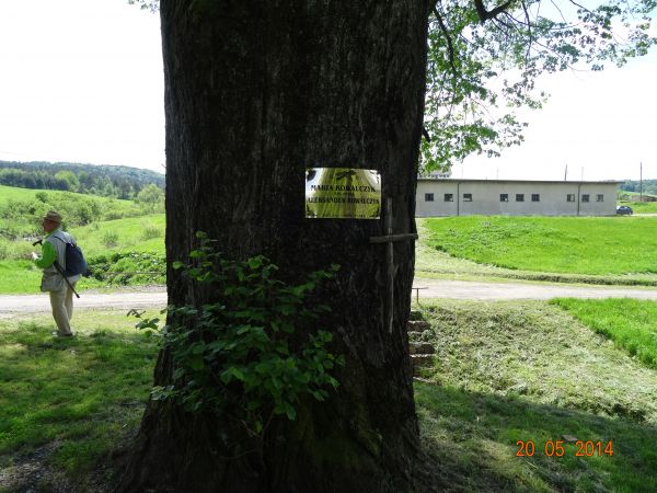 świadek historii, co swoim cieniem wiernych obdarzał - i tych co do chrztu i na ślub no i na spoczynek wieczny - jeszcze klepsydra na pamiątkę jakby i krzyż na