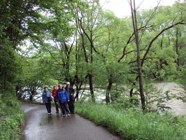 nad rzeką Osławą - idziemy z przysiółka Jawornik do przysiółka Horabłycha. Osława i jej dopływy należą do najczyściejszych rzek w kraju. W m. Rzepedź,  w części