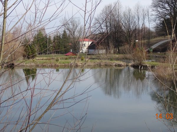 stawy przy wzgórzu dworskim - po lewej od parku: droga do m. Prusiek przez przysiółek Modrza - potok też o tej nazwie /zwany też Odrzin/.