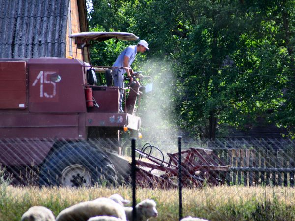 zdjecie Tyniewicze Duże
