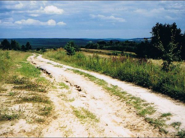 Okolice Zwierzyńca - typowy krajobraz roztoczański