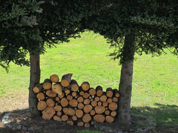 zdjecie Pietrzykowice