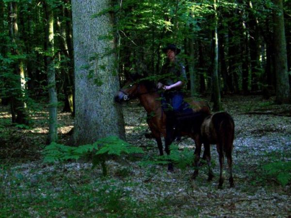 Zdjęcia Madaje Nowe