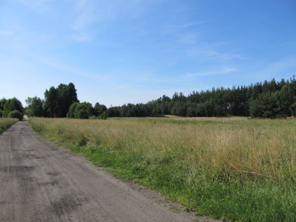 Teren pod budownictwo mieszkaniowe jednorodzinne na Szyszkowcu