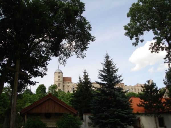 Widok na ruiny zamku z koscielnego dziedzinca.