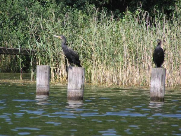 Bardzo bliski kontakt z przyrodą