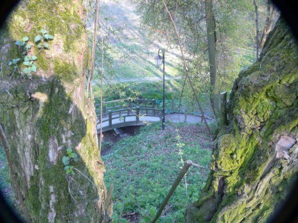 Park piszczele