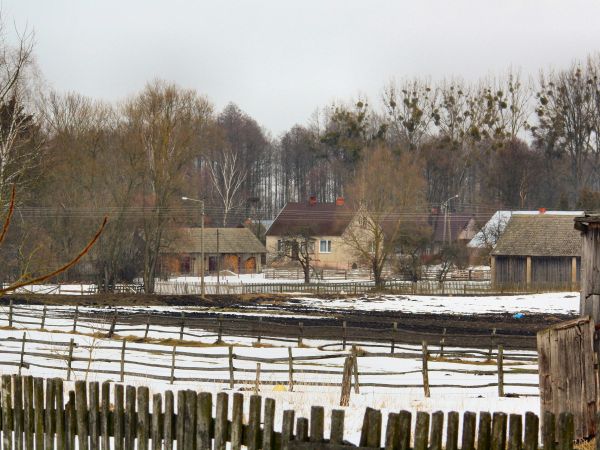 zdjecie Tyniewicze Duże